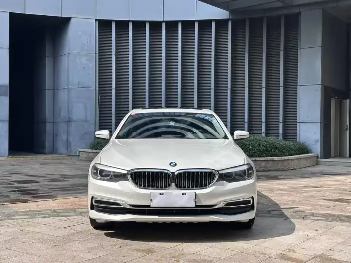 BMW 5 Series 2020 Model 525Li Luxury Set – фото 2