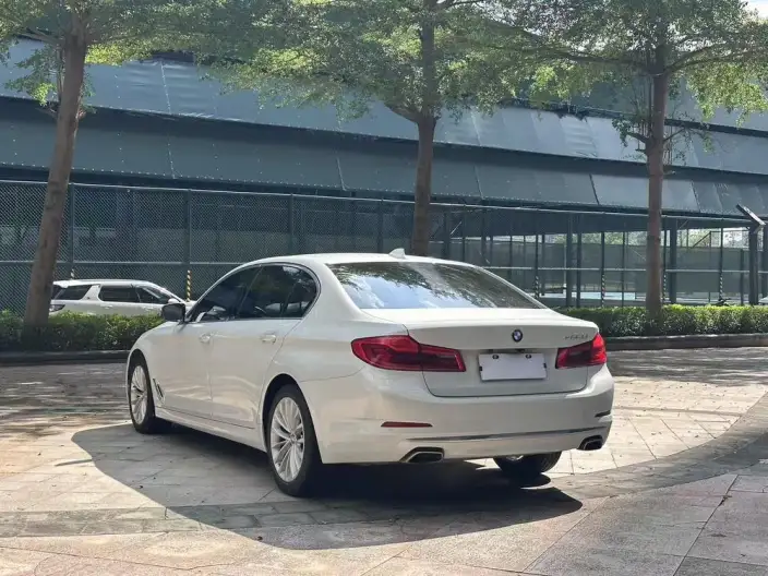 BMW 5 Series 2020 Model 525Li Luxury Set – фото 5