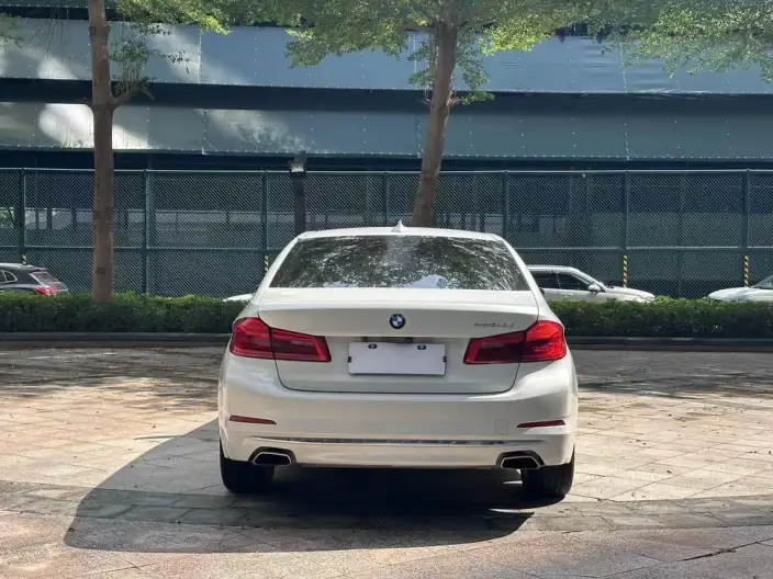 BMW 5 Series 2020 Model 525Li Luxury Set – фото 6