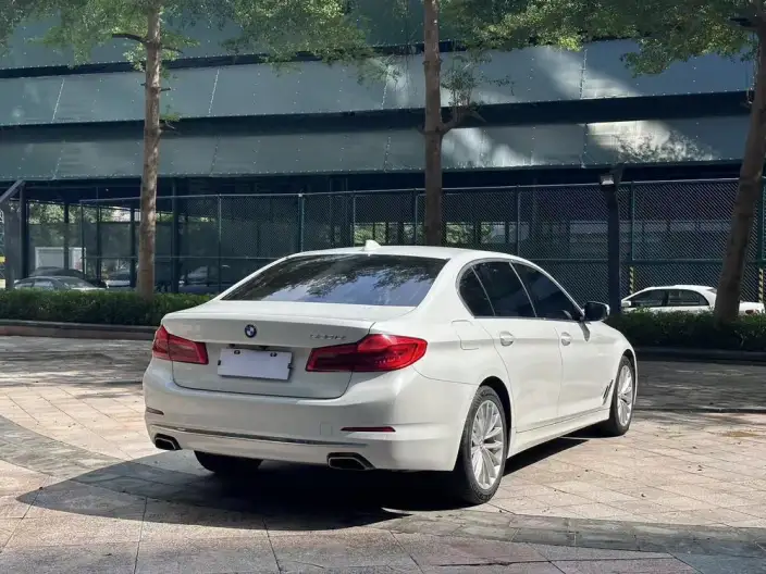 BMW 5 Series 2020 Model 525Li Luxury Set – фото 7