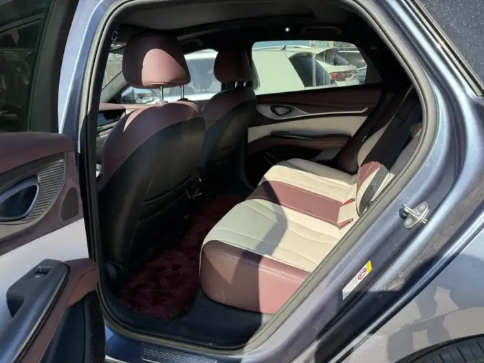 BYD Seal DM 2023 Model DM-i 1.5L 121KM Noble Model – фото 9