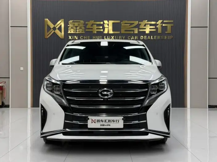 GAC Trumpchi M8 2020 Model Pilot Model 390T Supreme Edition – фото 2