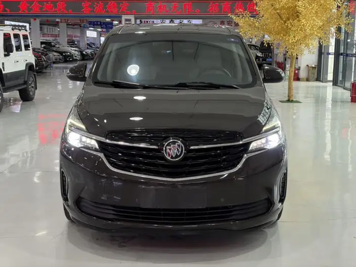 Buick GL8 2021 Model Facelift Business class 652T Luxury Model – фото 2
