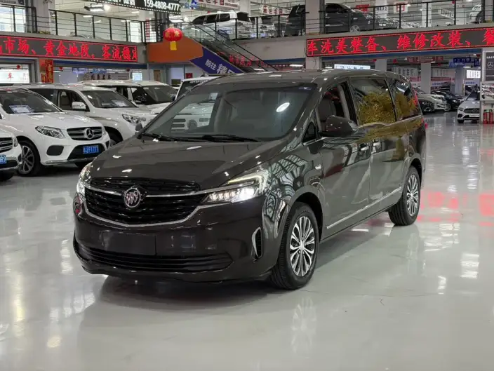 Buick GL8 2021 Model Facelift Business class 652T Luxury Model – фото 10