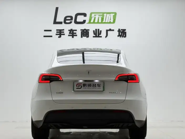 Model Y 2022 Model Rear-wheel drive version – фото 7