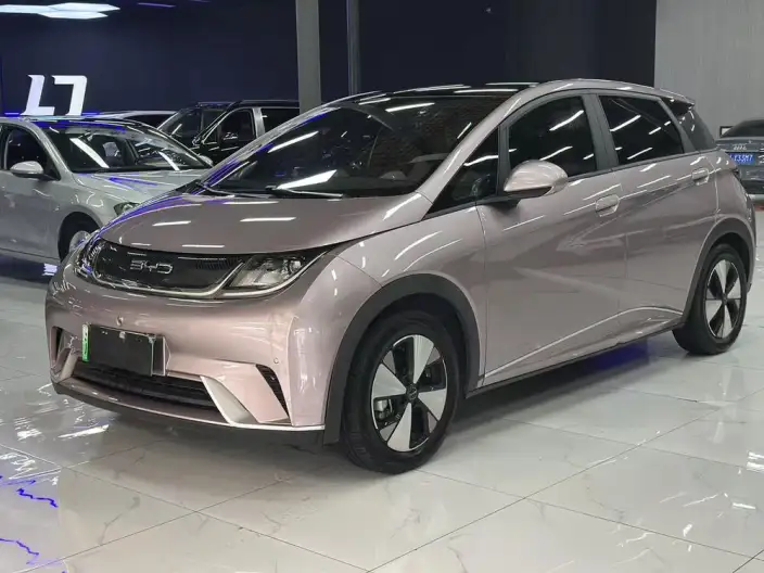 BYD Dolphin 2023 Model Fashion Edition – фото 1