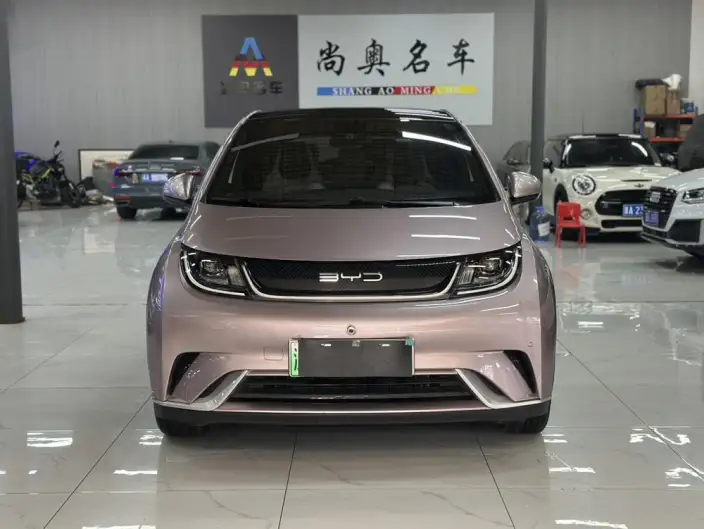 BYD Dolphin 2023 Model Fashion Edition – фото 2