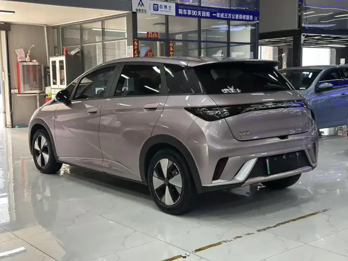 BYD Dolphin 2023 Model Fashion Edition – фото 3