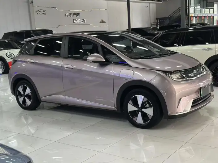 BYD Dolphin 2023 Model Fashion Edition – фото 5