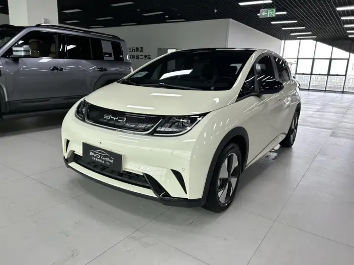 BYD Dolphin 2023 Model Fashion Edition – фото 1