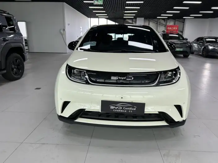 BYD Dolphin 2023 Model Fashion Edition – фото 2