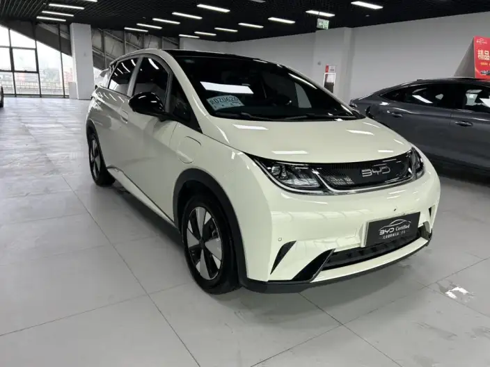BYD Dolphin 2023 Model Fashion Edition – фото 3