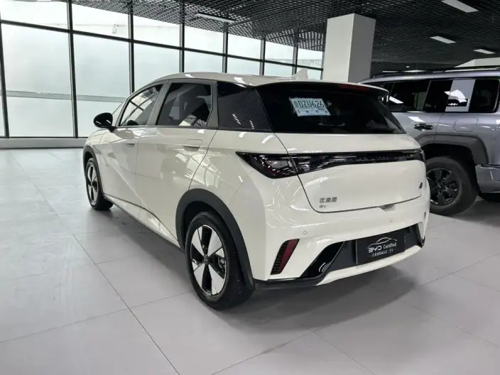 BYD Dolphin 2023 Model Fashion Edition – фото 4