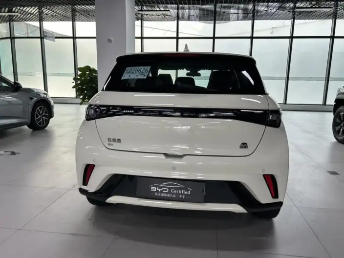 BYD Dolphin 2023 Model Fashion Edition – фото 5
