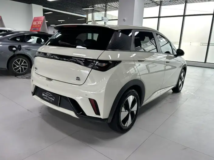 BYD Dolphin 2023 Model Fashion Edition – фото 6