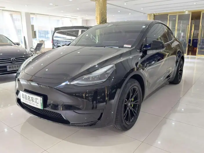Model Y 2022 Model Rear-wheel drive version – фото 1