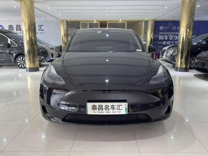 Model Y 2022 Model Rear-wheel drive version – фото 2