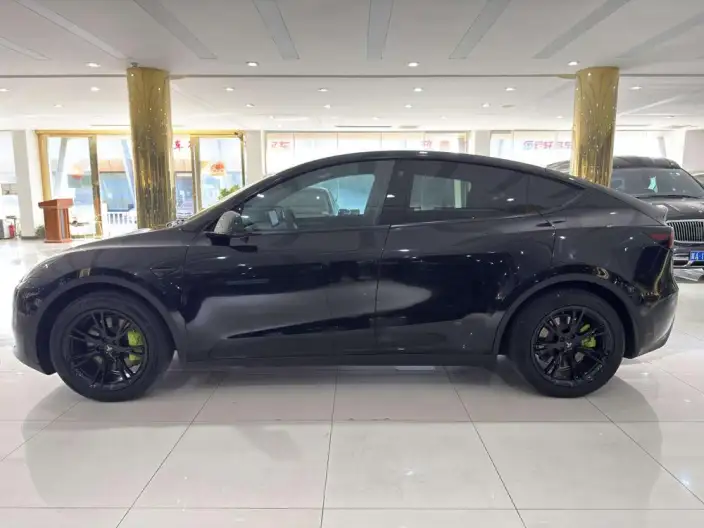 Model Y 2022 Model Rear-wheel drive version – фото 3