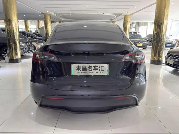 Model Y 2022 Model Rear-wheel drive version – фото 5