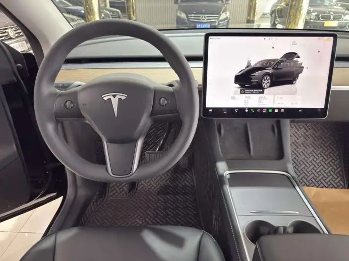 Model Y 2022 Model Rear-wheel drive version – фото 9