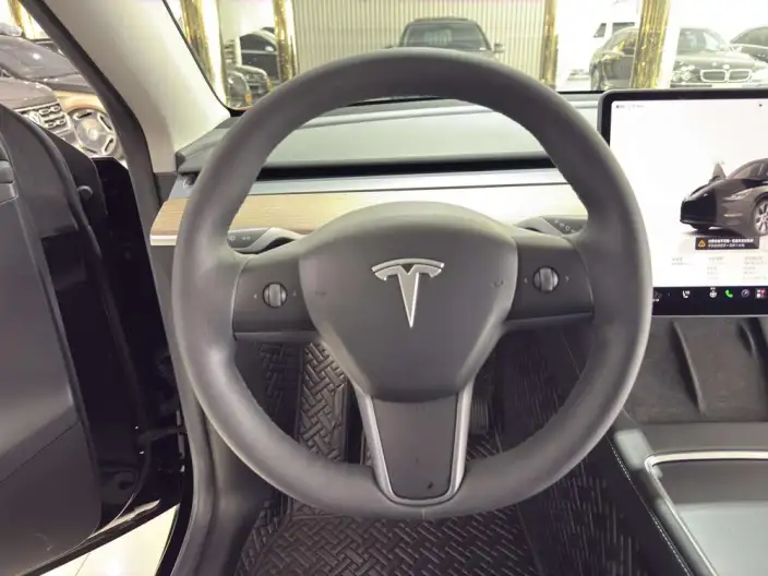Model Y 2022 Model Rear-wheel drive version – фото 10