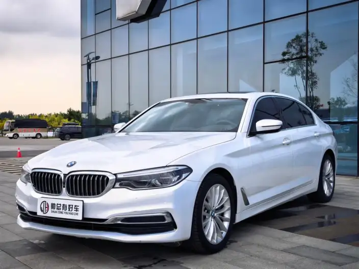 BMW 5 Series 2020 Model 530Li Exclusive Model Luxury Set – фото 1