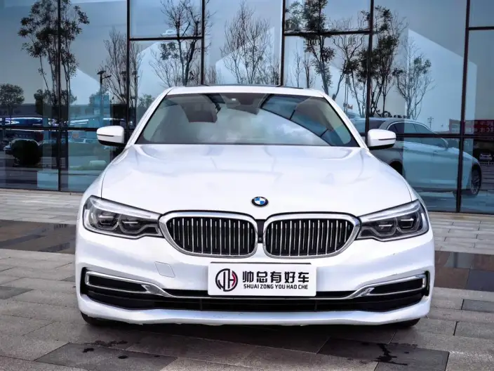 BMW 5 Series 2020 Model 530Li Exclusive Model Luxury Set – фото 2