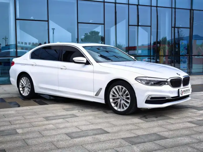 BMW 5 Series 2020 Model 530Li Exclusive Model Luxury Set – фото 3