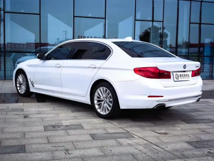 BMW 5 Series 2020 Model 530Li Exclusive Model Luxury Set – фото 4