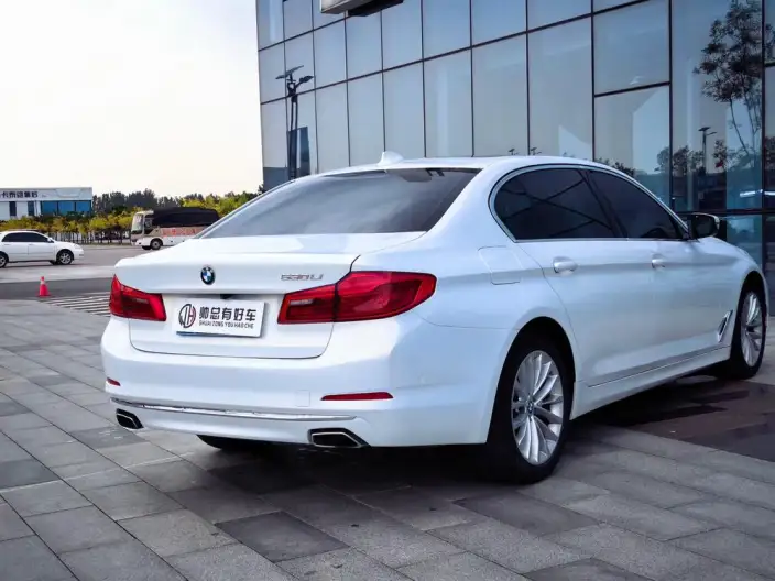 BMW 5 Series 2020 Model 530Li Exclusive Model Luxury Set – фото 5