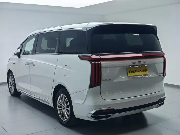 Wey Gaoshan P HEV 2023 Model 4WD Ultimate Edition – фото 5