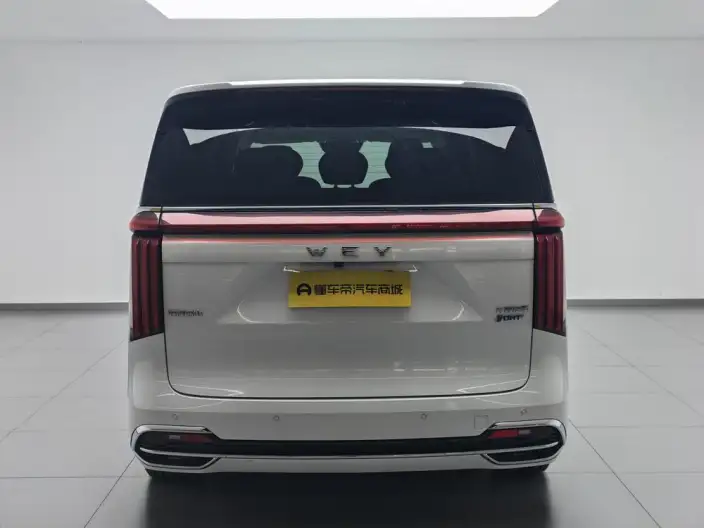 Wey Gaoshan P HEV 2023 Model 4WD Ultimate Edition – фото 6