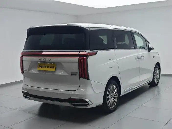Wey Gaoshan P HEV 2023 Model 4WD Ultimate Edition – фото 7