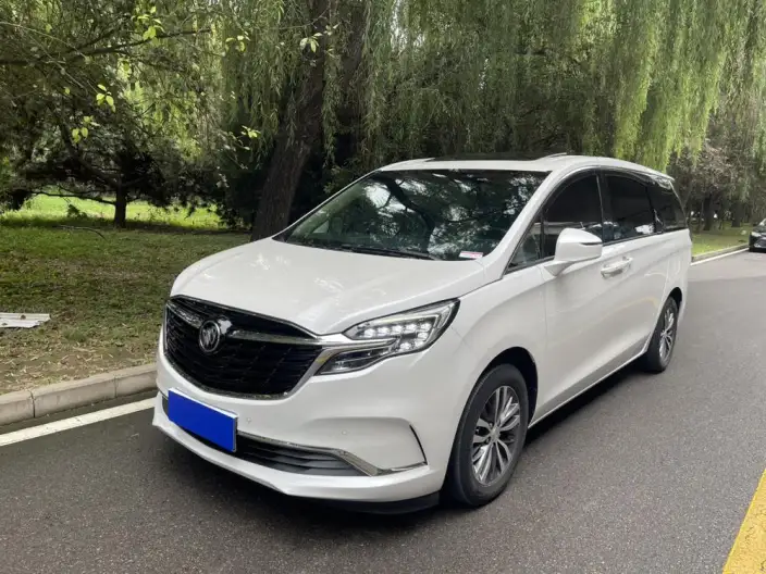 Buick GL8 2021 Model ES Luzun 653T Exclusive Model – фото 1