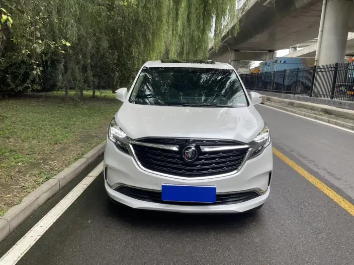 Buick GL8 2021 Model ES Luzun 653T Exclusive Model – фото 2
