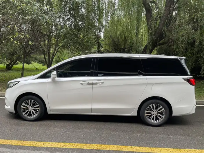 Buick GL8 2021 Model ES Luzun 653T Exclusive Model – фото 4