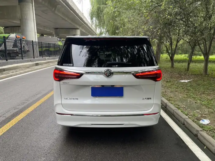 Buick GL8 2021 Model ES Luzun 653T Exclusive Model – фото 6