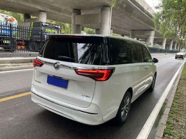 Buick GL8 2021 Model ES Luzun 653T Exclusive Model – фото 7