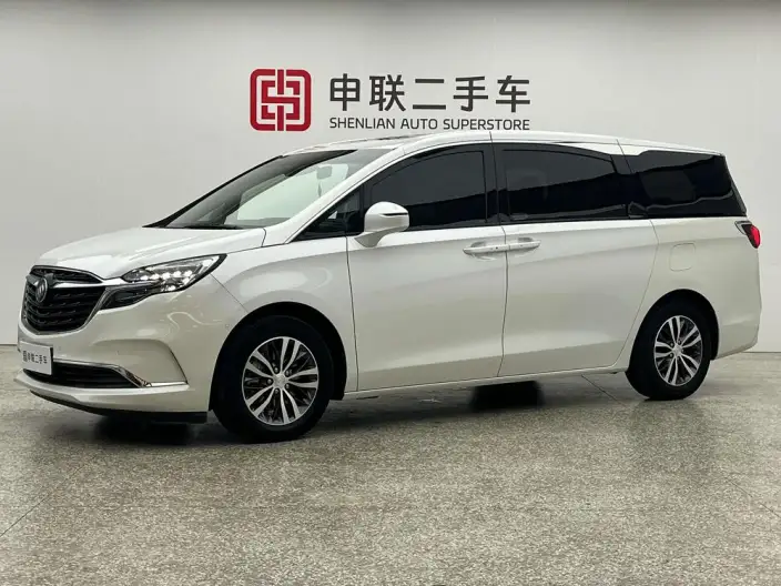 Buick GL8 2021 Model ES Luzun 653T Exclusive Model – фото 1