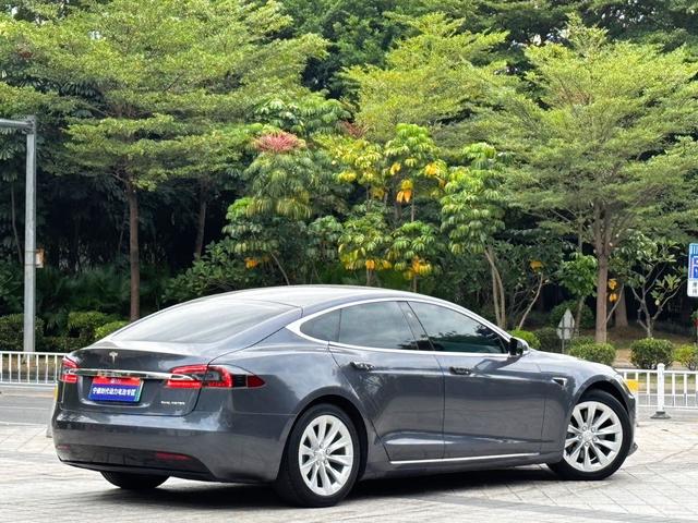 Model S Модель 2020 года Long Battery Li f e Pro L Class Edition – фото 10