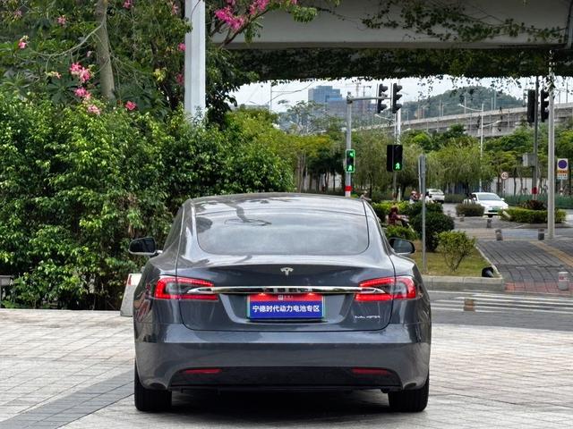 Model S Модель 2020 года Long Battery Li f e Pro L Class Edition – фото 11