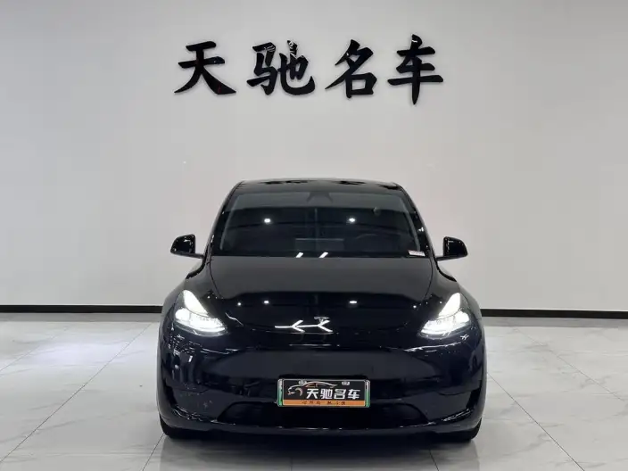 Model Y 2021 Model Long Battery Life Pro All-wheel drive version – фото 2
