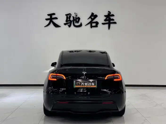 Model Y 2021 Model Long Battery Life Pro All-wheel drive version – фото 3