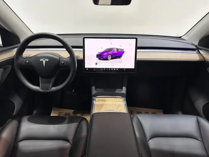 Model Y 2021 Model Long Battery Life Pro All-wheel drive version – фото 5