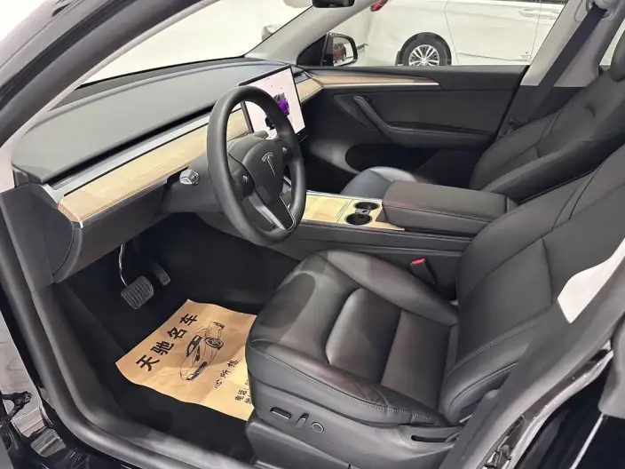 Model Y 2021 Model Long Battery Life Pro All-wheel drive version – фото 6