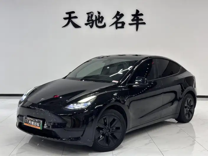 Model Y 2021 Model Long Battery Life Pro All-wheel drive version – фото 10