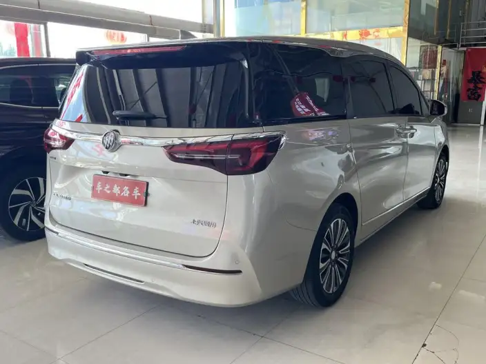 Buick GL8 2021 Model ES Luzun 653T Flagship Model – фото 6