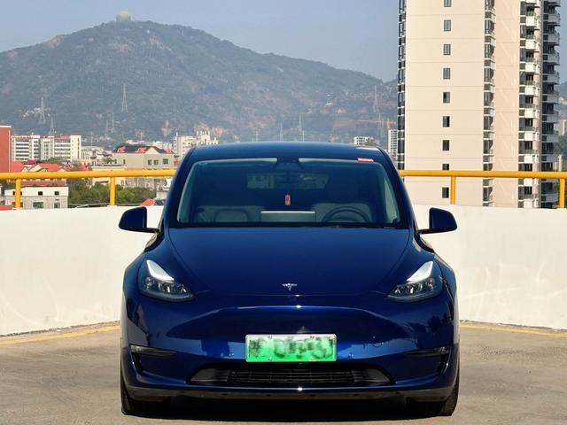 Tesla Model Y 2022 Performance AWD – фото 2