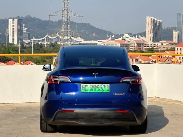 Tesla Model Y 2022 Performance AWD – фото 11