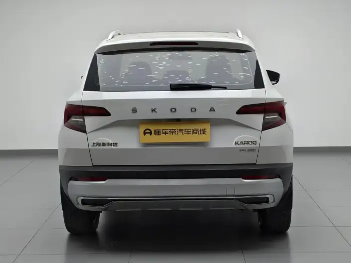Karoq 2020 Model TSI280 Zhixing Deluxe Edition – фото 6